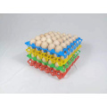 wholesale plastic egg tray for chicken eggs with high quality